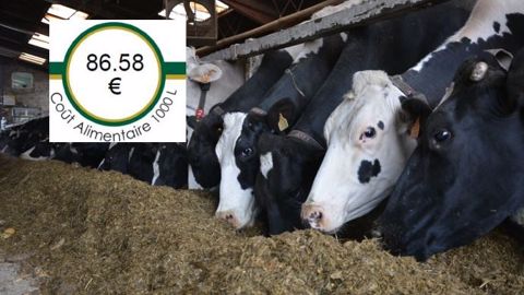 Avec un coût alimentaire de 86,6 € et un lait vendu 331 € en janvier, la marge sur coût alimentaire est de 244,42 €/1 000 litres. (©Terre-net Média)