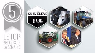 Les articles les plus lus sur Web-agri cette semaine (©Terre-net Média) Les articles les plus lus sur Web-agri cette semaine (©Terre-net Média)