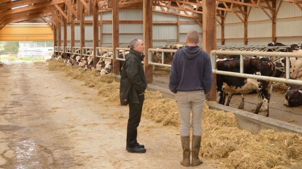Près de la moitié des éleveurs se font remplacer pour profiter du congé paternité ou maternité. (©Watier visuels)