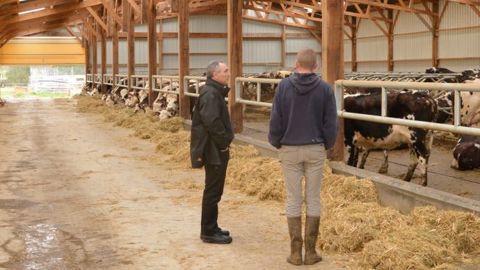 Près de la moitié des éleveurs se font remplacer pour profiter du congé paternité ou maternité. (©Watier visuels)
