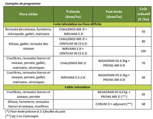 Exemples de programmes de désherbage conseillés par Terre Inovia