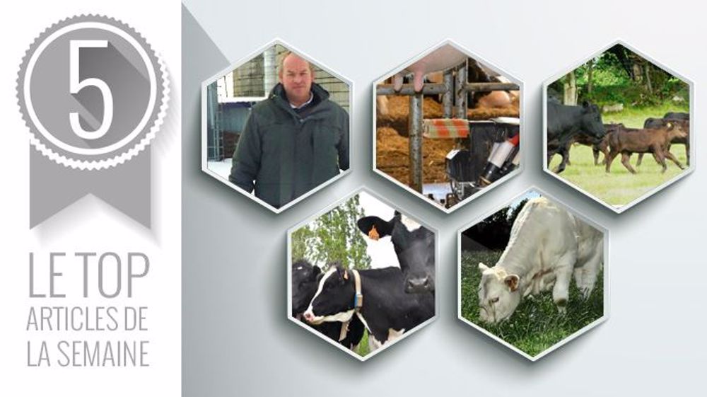 Articles les plus lus sur Web-agri cette semaine. (©Terre-net Média) Articles les plus lus sur Web-agri cette semaine. (©Terre-net Média)