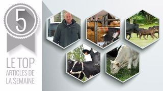 Articles les plus lus sur Web-agri cette semaine. (©Terre-net Média) Articles les plus lus sur Web-agri cette semaine. (©Terre-net Média)
