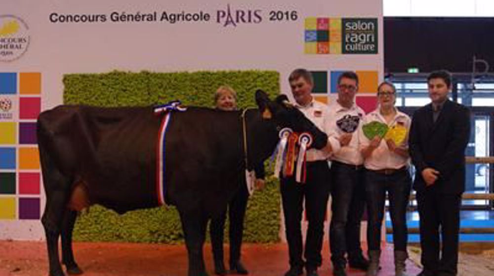 Harness (Nimpris x Fyto) au Gaec Vaesken, la grande championne (©Sia)