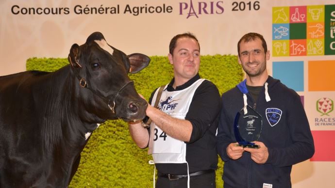 Duf Ilma (Gold Chip) champione et meilleure mamelle Espoir, au Gaec Duff Holstein (65)