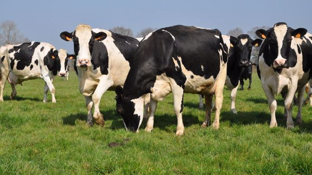 (©Terre-net Média)