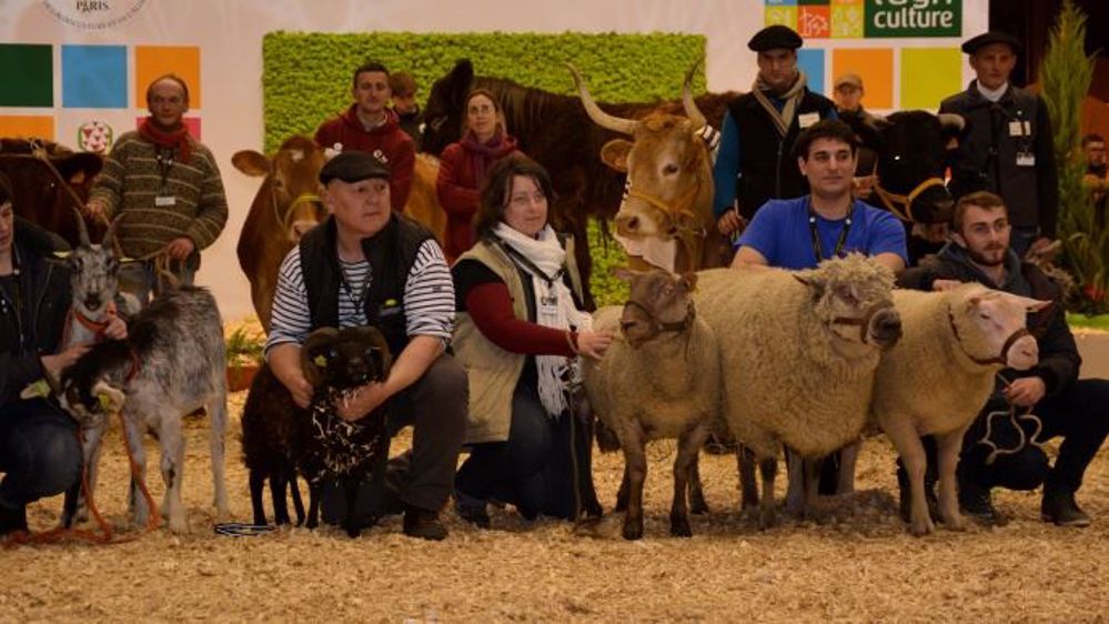 Le jury du prix de l'agro-biodiversité animale axe son choix sur trois critères : la dimension économique du projet, son impact social et environnemental sur un territoire donné, et les actions de sensibilisation et de communication autour d'une race à préserver. (©Terre-net Média) 