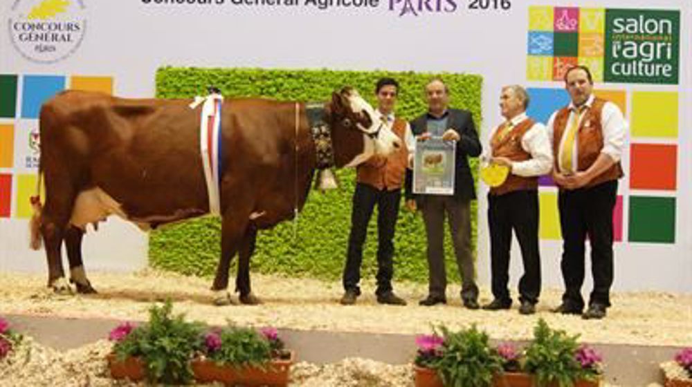 Dally, championne Abondance au Sia 2016. (©Sia)