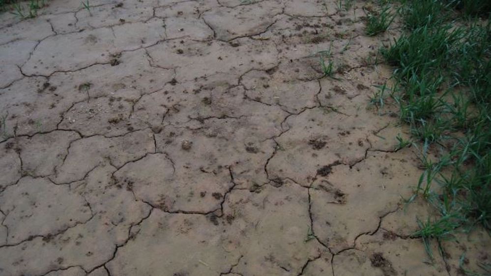 D'octobre à février, il n'a pratiquement pas plu au Maroc. (©Terre-net Média)