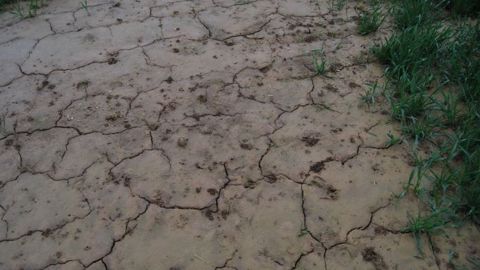 D'octobre à février, il n'a pratiquement pas plu au Maroc. (©Terre-net Média)