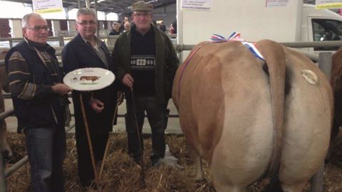GPH vache parthenaise, Gaec le Chatelet (Les Groseillers 79220) (à droite), achetée par Jacques-Henri Thomas (Créteil) (au centre) ainsi que Bernard Proust – responsable du concours (à gauche) pour la remise du prix de la boucherie. (©Acti-Ouest) GPH vache parthenaise, Gaec le Chatelet (Les Groseillers 79220) (à droite), achetée par Jacques-Henri Thomas (Créteil) (au centre) ainsi que Bernard Proust – responsable du concours (à gauche) pour la remise du prix de la boucherie. (©Acti-Ouest)
