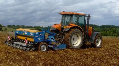 Le semis de luzerne doit être peu profond (0,5 à 1 cm) puis rappuyé au cultipacker. <br />Retrouvez <a target="_blank" href="http://www.terre-net.fr/luzerne/t319">toutes les informations sur la luzerne</a>. (©Terre-net Média)