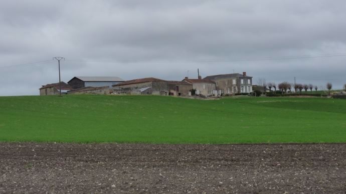 Exploitation agricole 