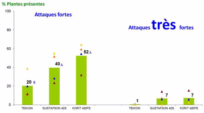 Résultats d'essais sur l'efficacité des traitements de semences