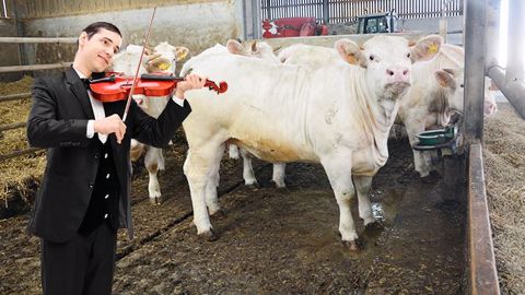 Cette mesure pourrait prochainement s'étendre aux bâtiments d'élevage, avis aux éleveurs-musiciens et autres joueurs de pipeau ! (©Terre-net Média) Cette mesure pourrait prochainement s'étendre aux bâtiments d'élevage, avis aux éleveurs-musiciens et autres joueurs de pipeau ! (©Terre-net Média)