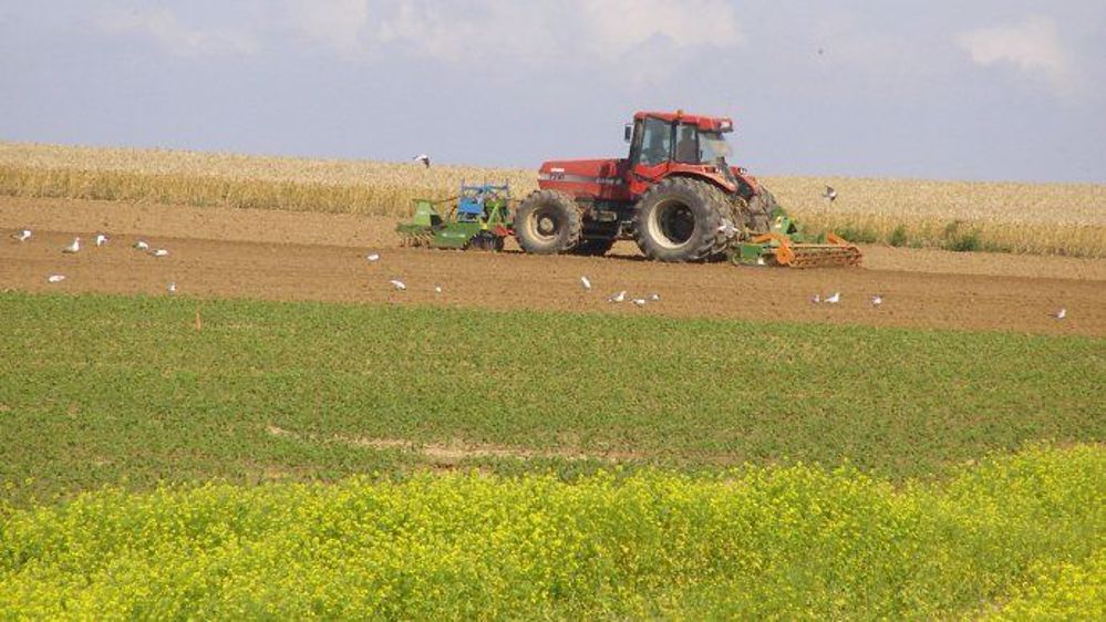 Certains héritiers bailleurs se font solliciter par des agriculteurs souhaitant agrandir leur exploitation, quitte à contourner les règles du contrôle des structures et à faire fi de celles régissant les baux ruraux. (©Terre-net Média)
