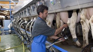 Deux projets de loi prévoient d'interdire la cessibilité à titre onéreux des contrats laitiers. (©Watier visuels) Deux projets de loi prévoient d'interdire la cessibilité à titre onéreux des contrats laitiers. (©Watier visuels)