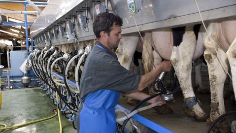 Deux projets de loi prévoient d'interdire la cessibilité à titre onéreux des contrats laitiers. (©Watier visuels) Deux projets de loi prévoient d'interdire la cessibilité à titre onéreux des contrats laitiers. (©Watier visuels)