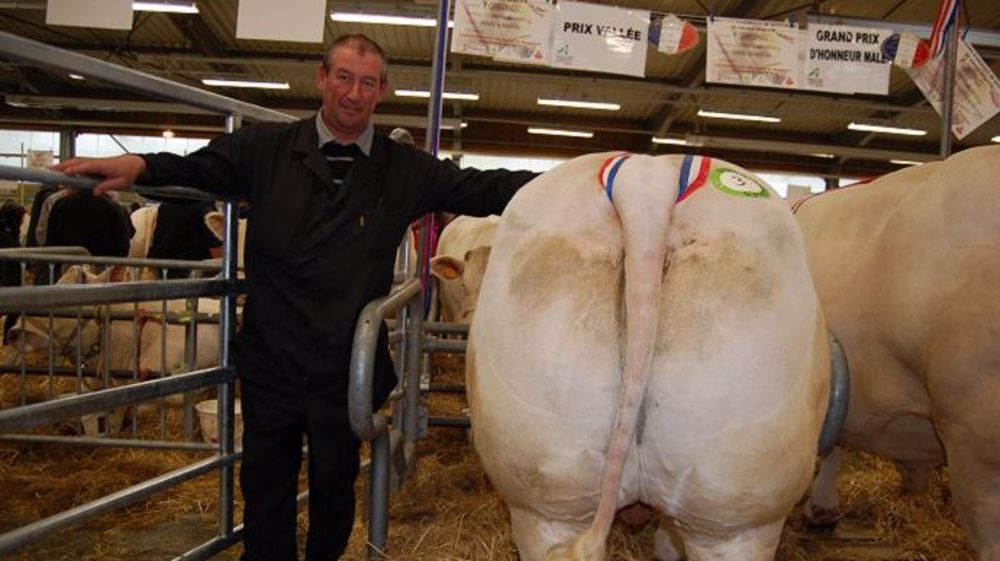 Le prix Vallée, pour Bernard Labopin, naisseur-engraisseur à Chassy à côté de Gueugnon. L'animal a été acheté par SVA Intermarché. (©Acti-Ouest)