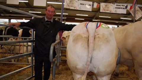 Le prix Vallée, pour Bernard Labopin, naisseur-engraisseur à Chassy à côté de Gueugnon. L'animal a été acheté par SVA Intermarché. (©Acti-Ouest)
