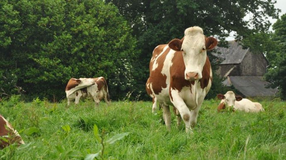  (©Terre-net Média )