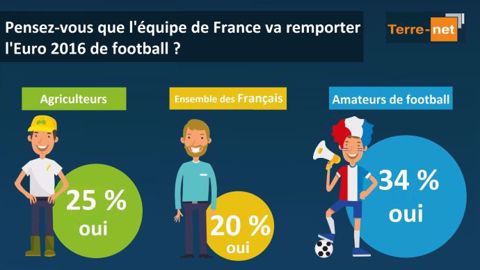 La France va-t-elle remporter le championnat d'Europe 2016 de football ? (©Terre-net Média)