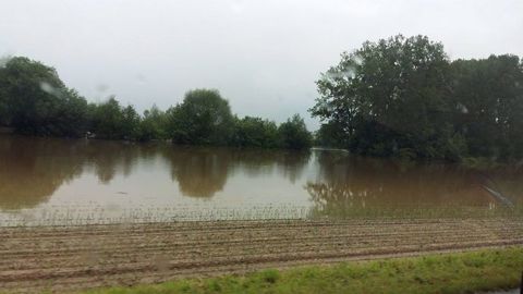 Les parcelles inondées des communes reconnues en état de catastrophe naturelle resteront éligibles aux aides Pac. (©Florent Delculée)