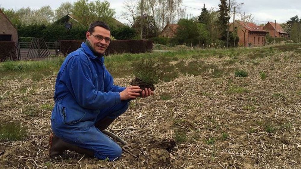 Jean-Marc Burette, tenant une adventice dans l'une de ses parcelles avant semis. (©Terre-net Média) 
