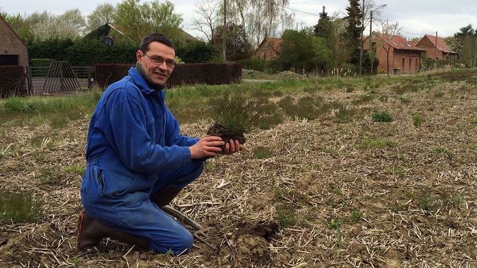 Jean-Marc Burette, tenant une adventice dans l'une de ses parcelles avant semis.