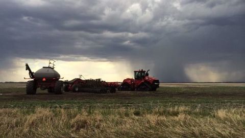 Le bon emploi des contrats d’assurance fait partie des stratégies de réussite des farmers. (© Geoffrey Delage)