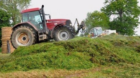 A partir du 1er juillet, les agriculteurs employeurs de main-d'œuvre sont censés mettre en œuvre six nouveaux critères du compte pénibilité. La FNSEA a fait savoir à l'exécutif qu'elle refusait cette application, jugée impossible dans les exploitations. (©Terre-net Média) A partir du 1er juillet, les agriculteurs employeurs de main-d'œuvre sont censés mettre en œuvre six nouveaux critères du compte pénibilité. La FNSEA a fait savoir à l'exécutif qu'elle refusait cette application, jugée impossible dans les exploitations. (©Terre-net Média)