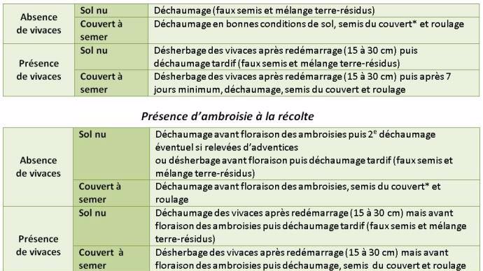 Préconisations d'actions de lutte contre l'ambroisie en interculture