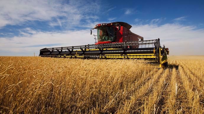 En blé tendre, la campagne commerciale 2015/16 devrait battre un record historique d'exportations françaises.