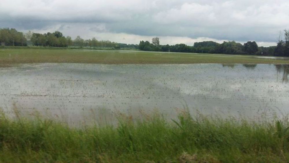 Face aux inondations et intempéries, une cellule d'écoute et de conseil a été créée pour les maraîchers d'Ile de France. (©Delculée)
