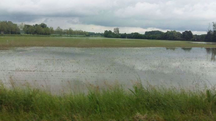 Face aux inondations et intempéries, une cellule d'écoute et de conseil a été créée pour les maraîchers d'Ile de France.