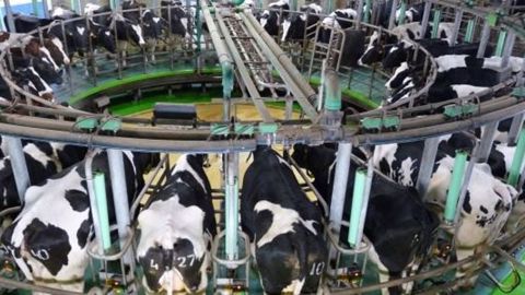 La France demande une régulation de la production laitière européenne avec une enveloppe budgétaire adaptée. (©Terre-net Média)