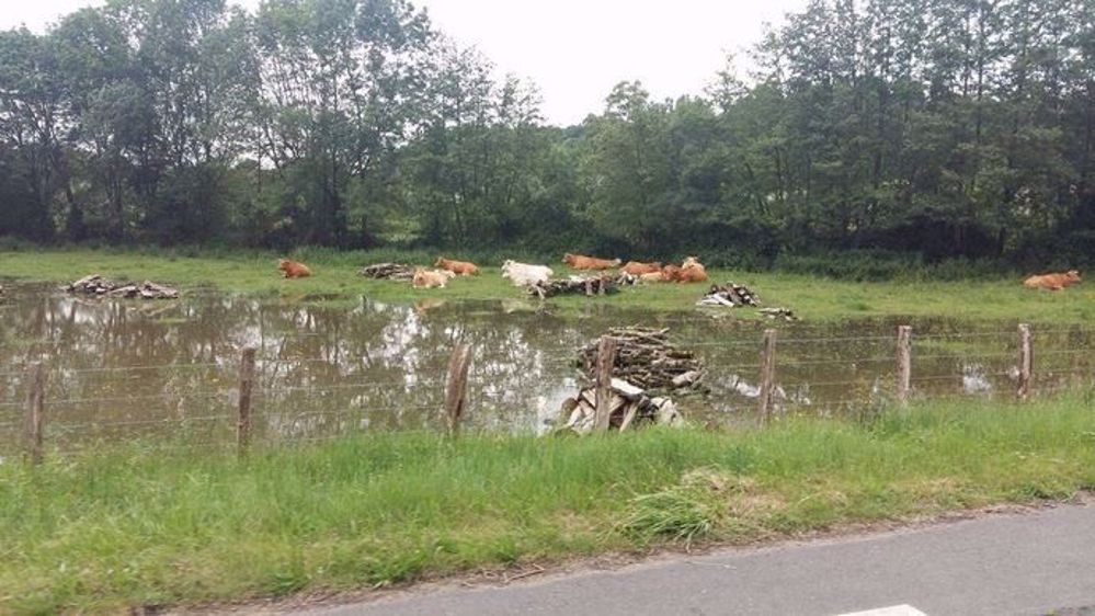 Suite aux inondations, les premiers dossiers de pertes de fonds seront examinés prochainement. (©Delculée)