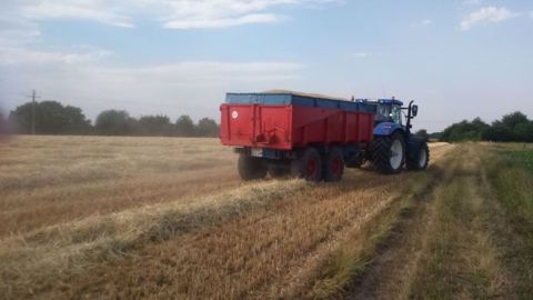 Une majorité de votants disent avoir récolté moins de 60 q/ha d'orge (©Terre-net Média) Une majorité de votants disent avoir récolté moins de 60 q/ha d'orge (©Terre-net Média)