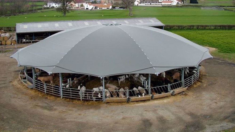 D'un diamètre de 22 à 45 mètres, les Roundhouse d'ID Agro peuvent loger jusqu'à 280 bovins de 500 kilos.