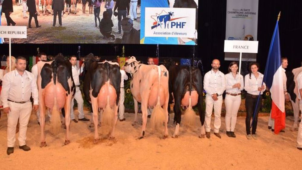 Prim'holstein France proposera sa propre "breed society" en plus de celles des entreprises de sélection. <br />Photo : l'équipe de France, vainqueur à Colmar. (©Terre-net Média)