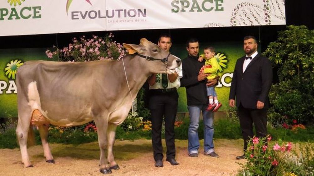 Holiday, grande championne du concours Brune du Space 2016. (©Arsoe)