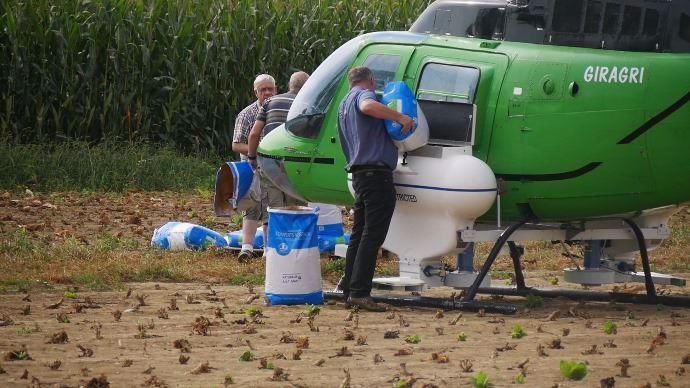 Les espèces ont été sélectionnées soit pour leur facilité d’implantation et leurs propriétés de pièges à nitrate (semis de navettes) soit pour leurs qualités fourragères et leur capacité à restituer de l’azote dans le sol (mélange avoine vesce trèfle).