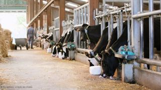 Les éleveurs souhaitant obtenir une nombreuse descendance d’une femelle particulière, de n’importe quelle race, peuvent contacter un technicien génétique Elitest pour bénéficier de ce nouveau service à disposition. (©Elitest/ A.Bertrand) Les éleveurs souhaitant obtenir une nombreuse descendance d’une femelle particulière, de n’importe quelle race, peuvent contacter un technicien génétique Elitest pour bénéficier de ce nouveau service à disposition. (©Elitest/ A.Bertrand)