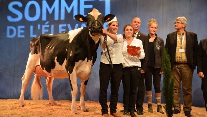 Grande Championne Hirma EFP (Danillo x Bolton) au Gaec Parisse