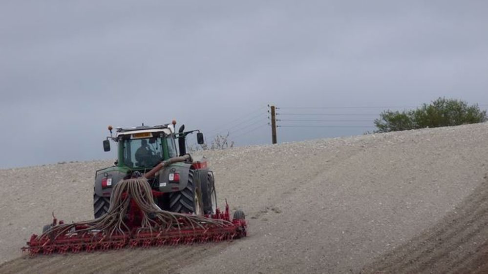 Les semis de blé commencent à être concernés par l'absence de précipitations, même dans les pays baltes. (©Terre-net Média)