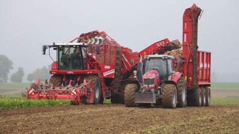L'arracheuse intégrale Grimme Rexor au travail dans l'Oise. (©Terre-net Média)