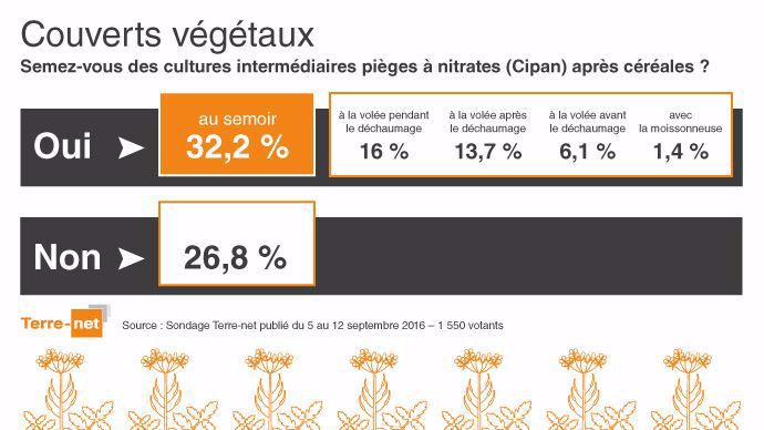 Sondage sur le mode d'implantation des couverts d'interculture.