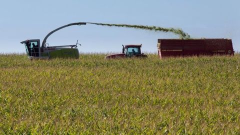 Les incertitudes sur la présidentielle américaine ont pesé sur les cours des céréales. (©Terre-net Média)