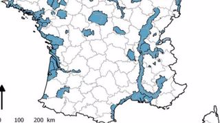 zones écologiques à risque particulier vis-à-vis de l'infection de l'avifaune par un virus IAHP. (©Ministère de l'agriculture) zones écologiques à risque particulier vis-à-vis de l'infection de l'avifaune par un virus IAHP. (©Ministère de l'agriculture)