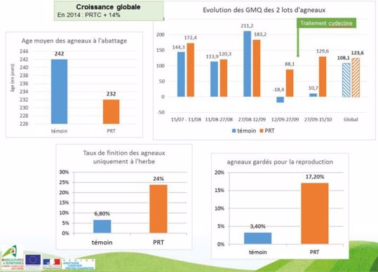 Résultat d'essais de croissance d'agneaux sur des prairies riches en plantes à tanins (PRT) ou prairies classiques.